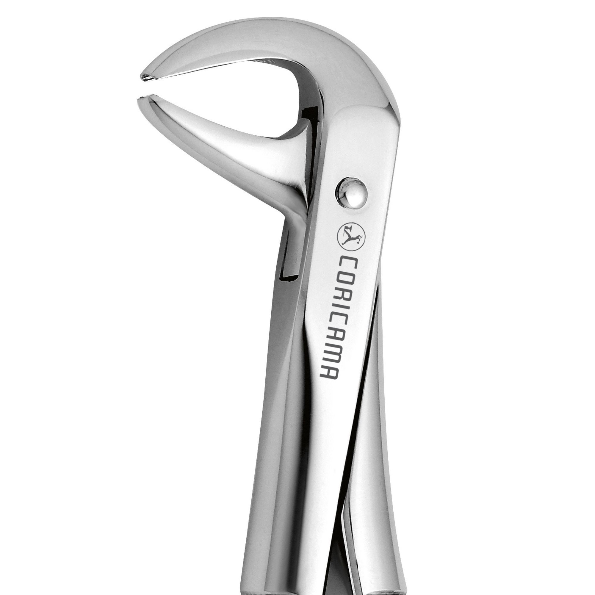 thumbnail image 2 of AA Pro Dental Tooth Extraction Forceps #75 – Stainless Steel, Dentist Lab Tool 2 of 6