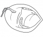 560105-70.jpg