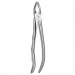 TOOTH FORCEPS BLADE BEAKS N. 1