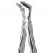 TOOTH FORCEPS BLADE BEAKS N.79-N