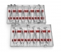 620010 - SET TOOTH FORCEPS 12 pcs