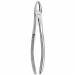 TOOTH FORCEPS N.  1