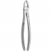 TOOTH FORCEPS N.  2