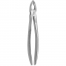 TOOTH FORCEPS N.180