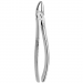 TOOTH FORCEPS N.  7