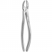 TOOTH FORCEPS N. 18