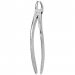 TOOTH FORCEPS N. 19