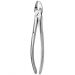 TOOTH FORCEPS N. 55