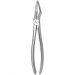 TOOTH FORCEPS N. 51-L