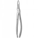 TOOTH FORCEPS N. 49