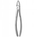 TOOTH FORCEPS N. 29