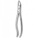 TOOTH FORCEPS N. 76-S