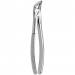 TOOTH FORCEPS N.  8