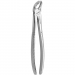 TOOTH FORCEPS N. 21