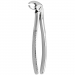 TOOTH FORCEPS N. 22