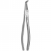 TOOTH FORCEPS N.187