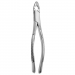 TOOTH FORCEPS AMERICAN N.150-A