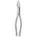 TOOTH FORCEPS AMERICAN N. 32