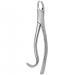 TOOTH FORCEPS AMERICAN N. 18-R