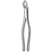 TOOTH FORCEPS AMERICAN N. 10-S