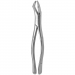 TOOTH FORCEPS AMERICAN N. 53-R