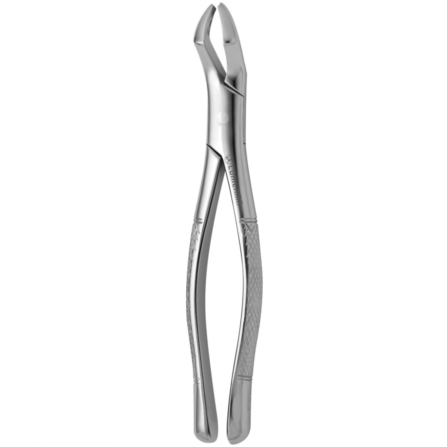 TOOTH FORCEPS AMERICAN N. 53-R | CORICAMA - Since 1873