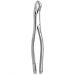 TOOTH FORCEPS AMERICAN N. 88-L