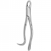 TOOTH FORCEPS AMERICAN N. 24