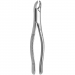 TOOTH FORCEPS AMERICAN N. 17