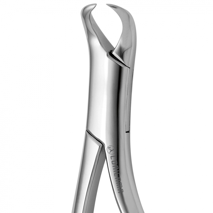 TOOTH FORCEPS AMERICAN COW HORN N. 16 CORICAMA Since 1873
