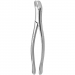 TOOTH FORCEPS AMERICAN N. 5