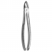 TOOTH FORCEPS PEDIATRIC N.163