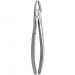 TOOTH FORCEPS PEDIATRIC N. 37