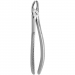 TOOTH FORCEPS PEDIATRIC N.158