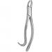 TOOTH FORCEPS AMERICAN PEDIATRIC N.18-L