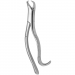 TOOTH FORCEPS AMERICAN PEDIATRIC COW HORN N. 16