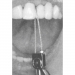 364840-70.jpg