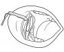 560100-70.jpg