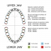 215000-70.jpg